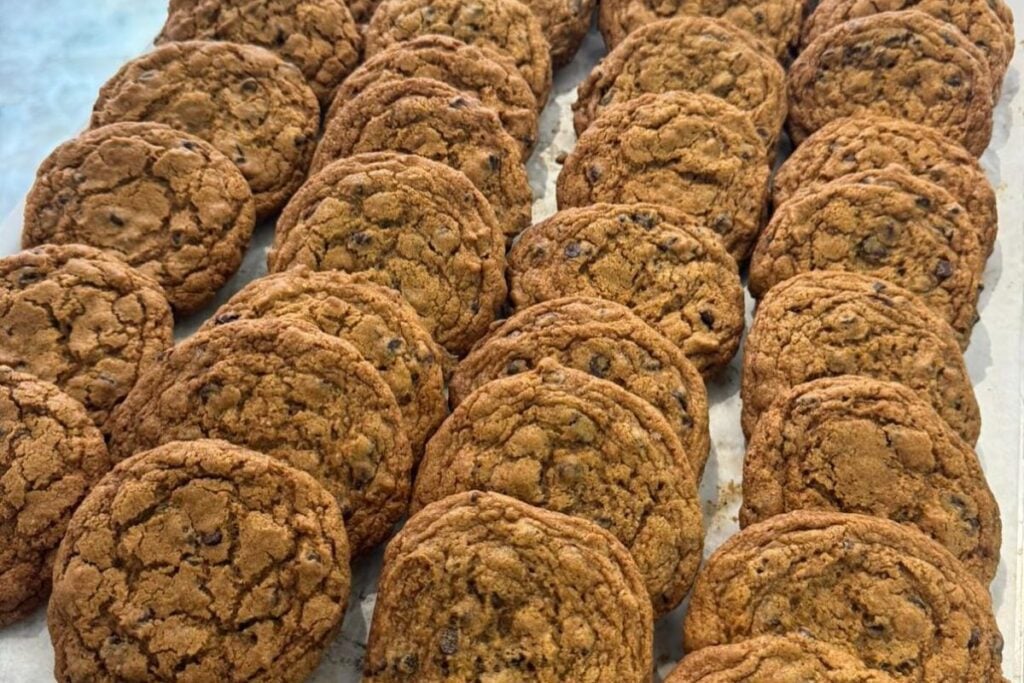 best bakeries in Hong Kong Plumcot 