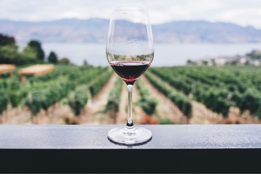 types of wine merlot